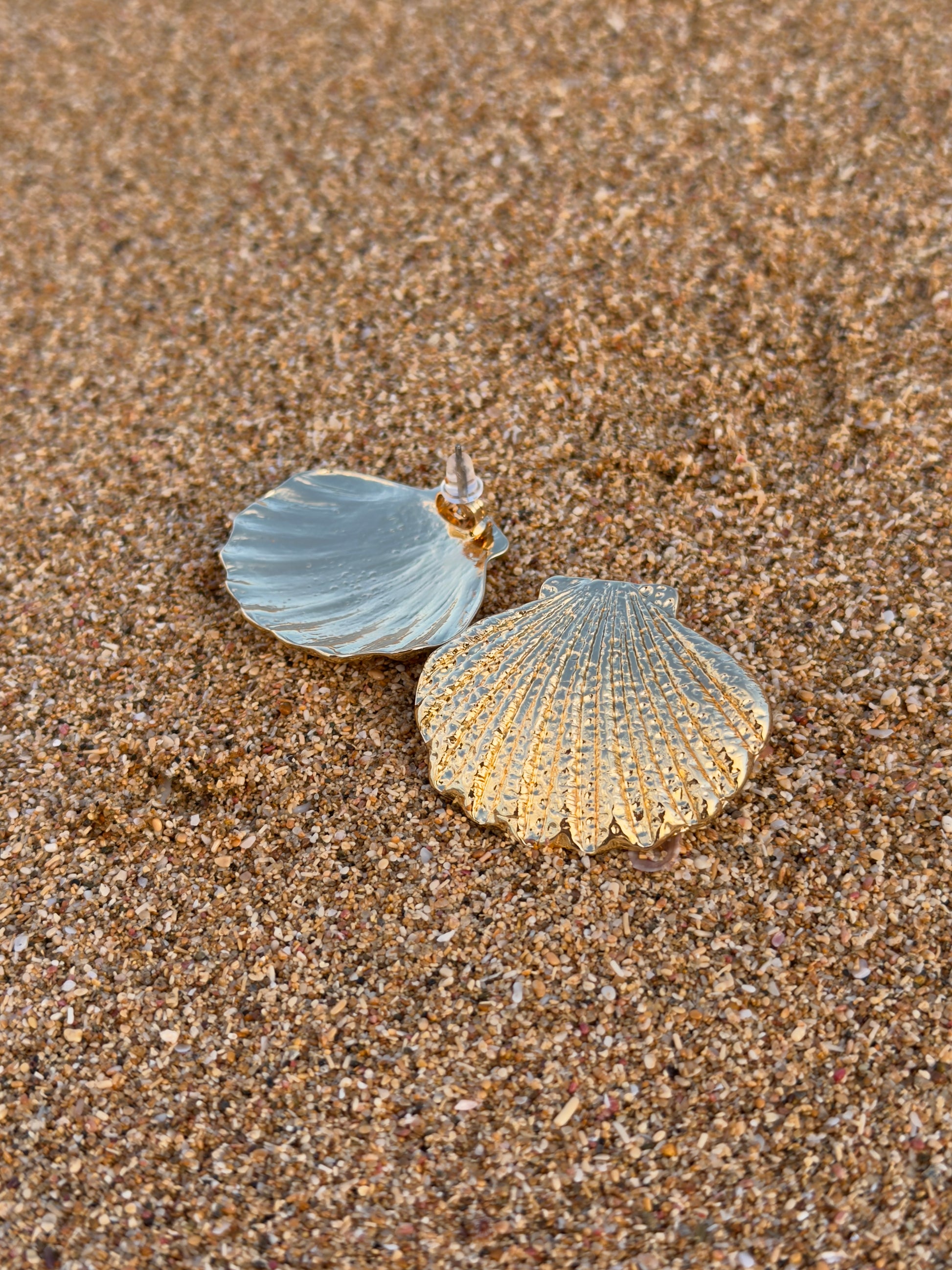 Seashell Earrings