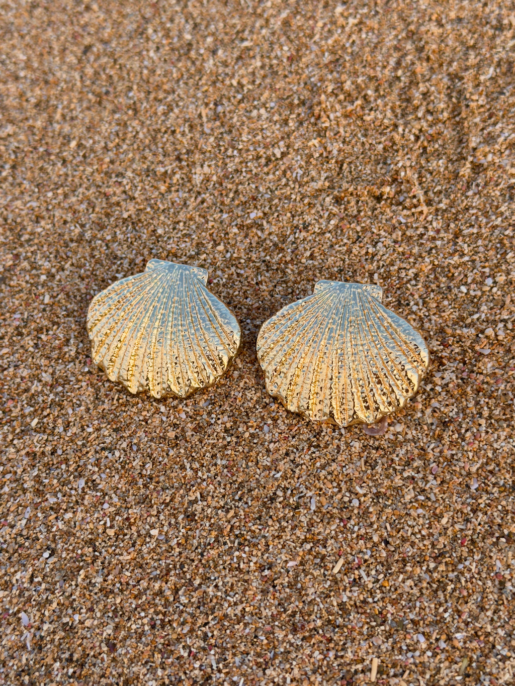 Seashell Earrings