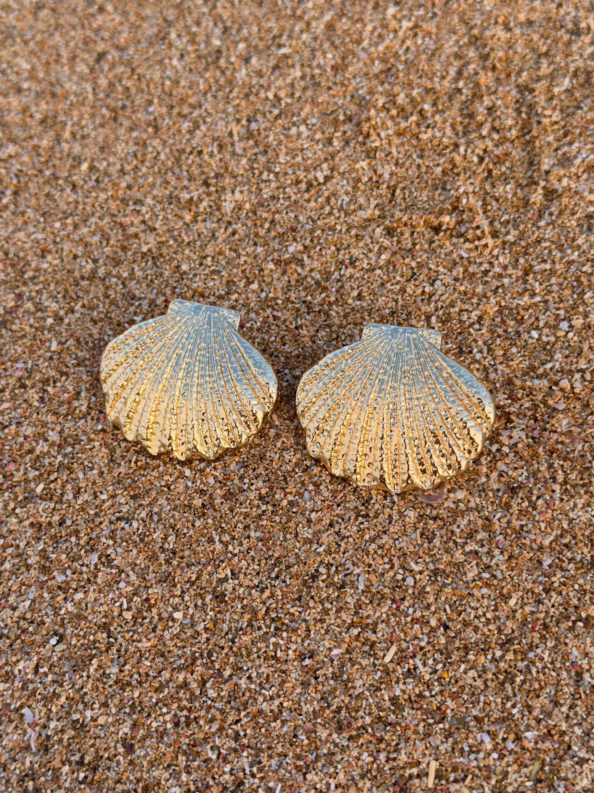 Seashell Earrings